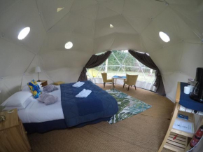 Tui's Nest Glamping 